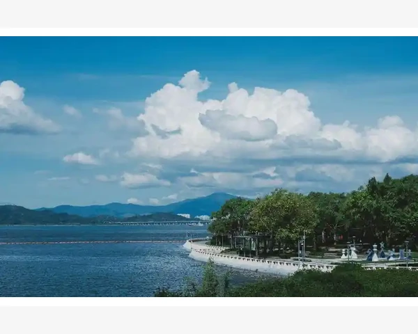 B2B电商平台有哪些主流选择